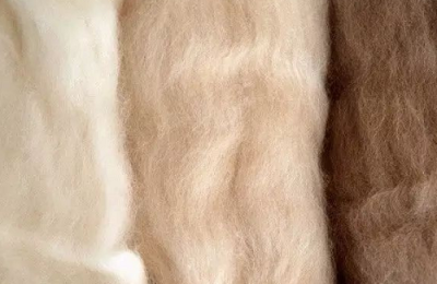 What is cashmere?  What are the advantages and disadvantages of cashmere fabric?